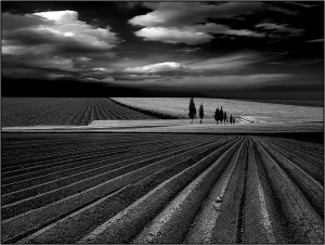 (c) veronika pinke