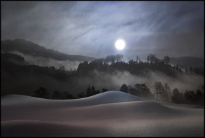 (c) veronika pinke