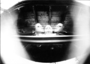 Eine Langzeitbelichtung mit einer Keksdosenlochkamera(Foto. K. Bezzel)